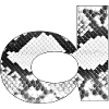 Snake Print Letter D