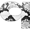Statement letter q with snake print