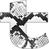 Snake Skin Pattern Letter T