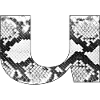 Schlangenleder Muster Buchstabe u