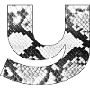 Snake leather pattern letter y