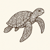 Turtle Bay
