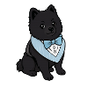Elegant Spitz Dog in Bow Tie