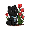 Cute Spitz Dog with Tulips
