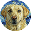 Happy dog in Van Gogh quiet