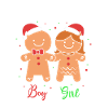 Dad-to-be Christmas Gender Reveal