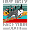 Opossum