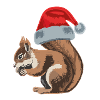Cute squirrel with Santa hat