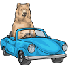 Bear Car
