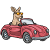 Kangaroo Car