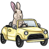 Rabbit Car