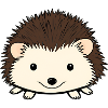 Cute hedgehog with a friendly face