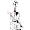 violin