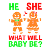 Mom-to-be Christmas Gender Reveal