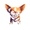 Miniklein, méga aggro | Chihuahua