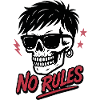 Edgy Skull with Sunglasses and No Rules Text