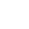 Dino Dinosaure Dinosaure