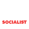 Anti Capitalism Socialist Club