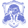 Fighting Eagle Shield Design