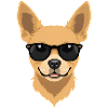 Cool dog with sunglasses