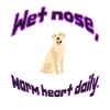 Wet Nose Warm Heart Daily Illustration