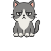 Katze mit mürrischem Gesichtsausdruck