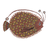 Die_Flunder_2