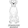 Boxer Judging You Silently – Hundespruch
