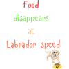 Labrador Food Disappearance Playful Design