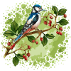Bunter Vogel