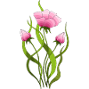 Fleur