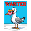 Gesucht Möwe Eiscreme Abenteuer