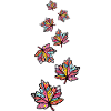 Ahorn Blatt Bunt Herbst