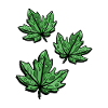 Autumnal Maple Leaf