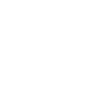 Princess Security