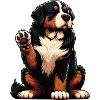 Berner Sennenhund Sennenhunde Sennen Besitzer