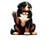 Parlez à la patte du bouvier bernois Sennenhunde