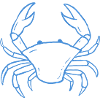 Blue Crab Line Art