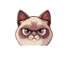 Mec Chat