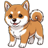 Shiba Inu puppy