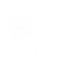Spooky night sky design