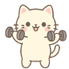 Kitten doing strength training