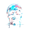 Skull - Reflected Mortality - Nature's Requiem