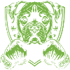 Dog Boxer