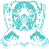 Dog Boxer