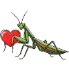 Praying Mantis Praying Mantis Heart