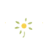 Edelweiss Berge - Volksfest Natur Design