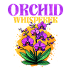 Conception de murmure d'orchidée