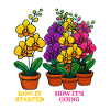 Floral art: development and growth