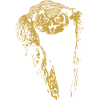 Modern Calligraphy Owl Illustration